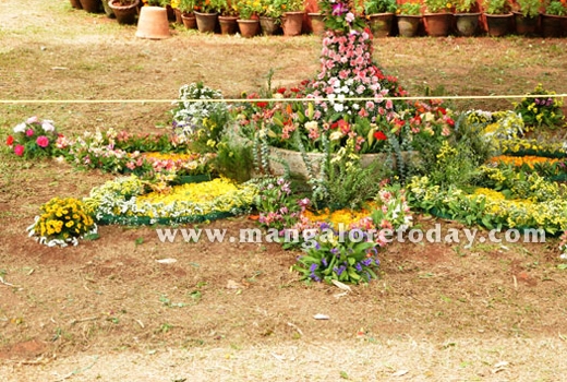 flower show1